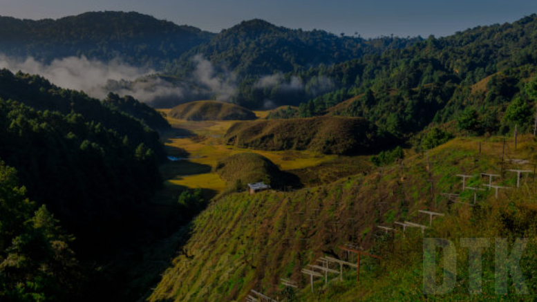 Ziro Valley aerial view