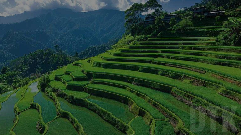 Ziro Valley